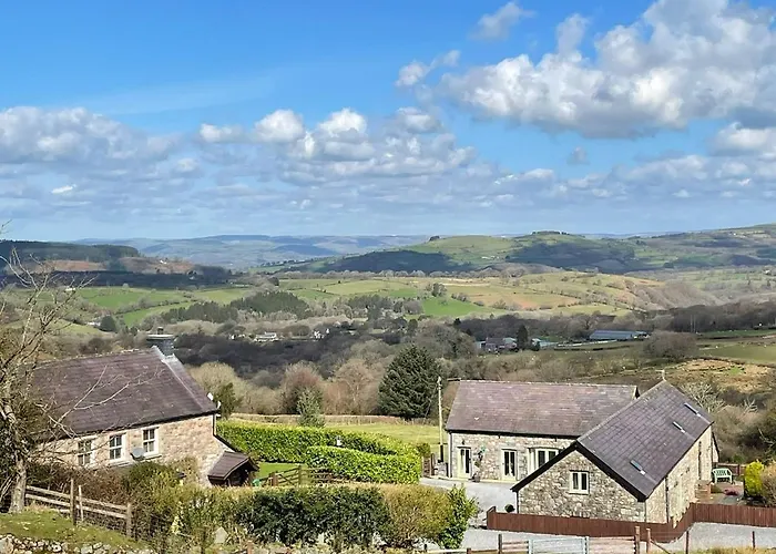 Rhiwddu Barns