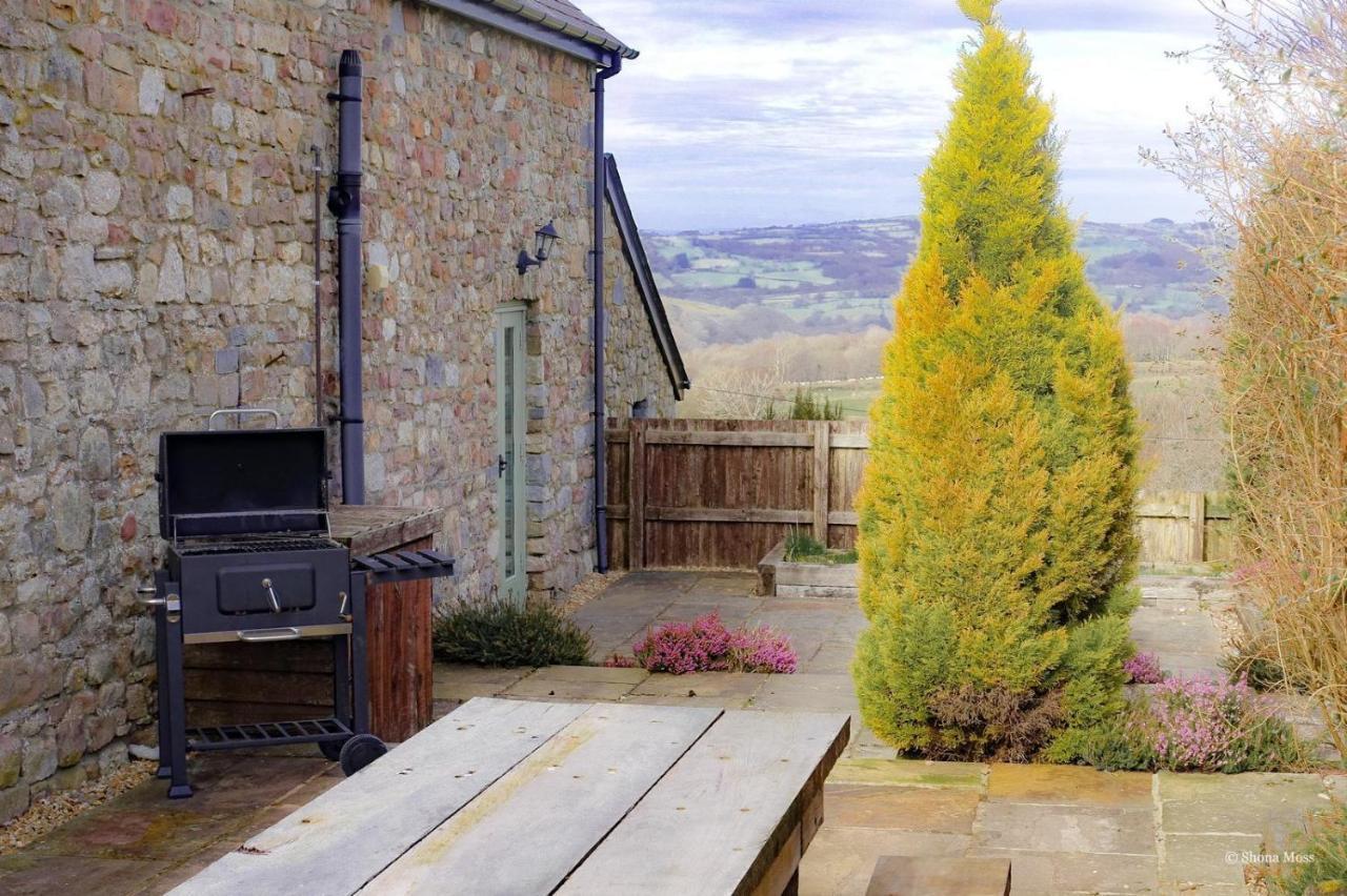 Rhiwddu Barns Holiday home Llangadog