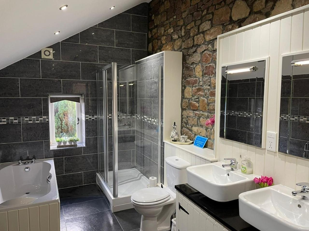 Holiday home Rhiwddu Barns *